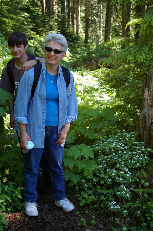 Chinidere Trail Bunchberry.jpg